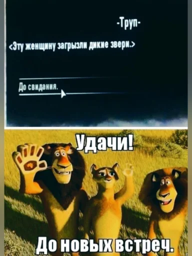 🤩 Стикер «на все случаи жизни» для Telegram