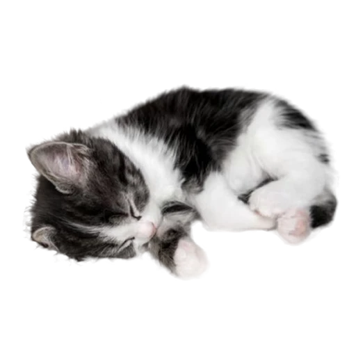 😴 Стикер «Mixed» для Telegram
