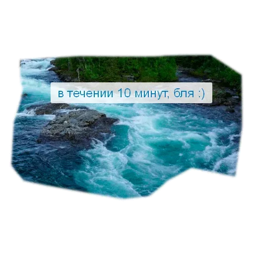 😋 Стикер «Наждачка вместо Туалетной Бумаги» для Telegram
