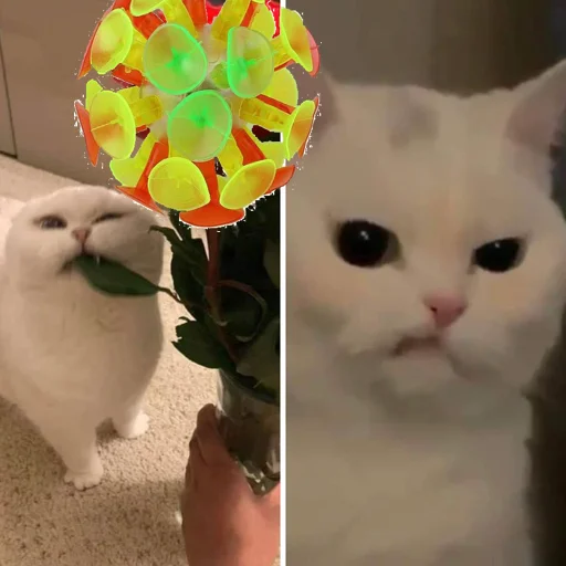 😾 Стикер «na covid» для Telegram