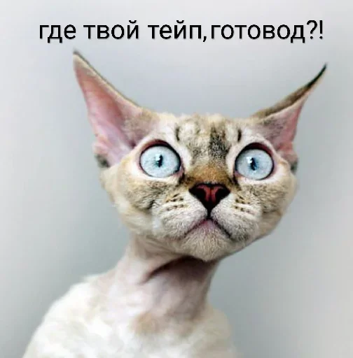 😝 Стикер «По району на десяточке» для Telegram