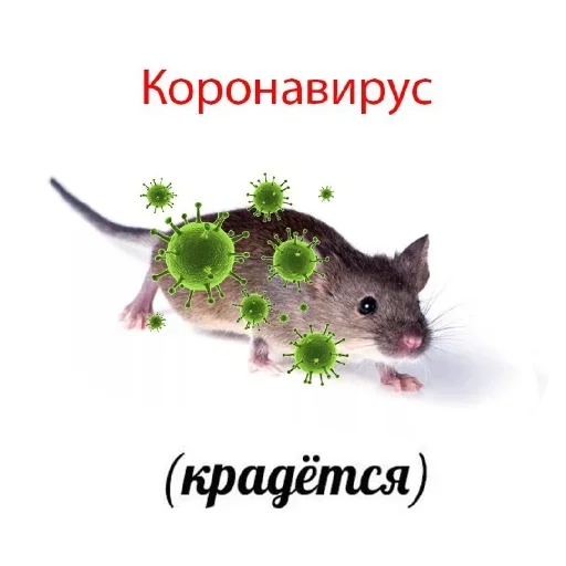 😜 Стикер «По району на десяточке» для Telegram