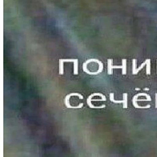 🐱 Стикер «я тебя наебал» для Telegram