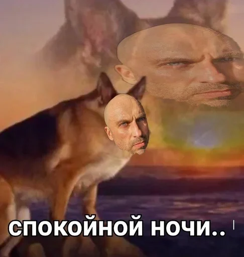 🥱 Стикер «Нагиев Sugar Daddy» для Telegram