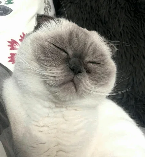 😚 Стикер «Impudent» для Telegram