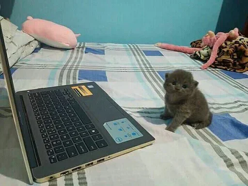 😚 Стикер «Накачайся» для Telegram