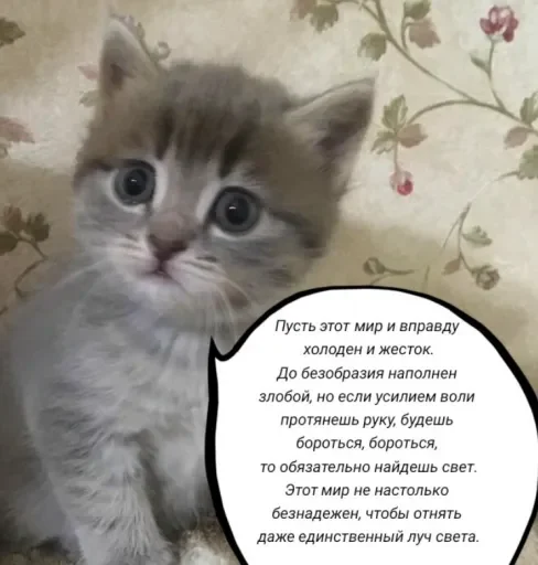 🧠 Стикер «Голые бляди.» для Telegram