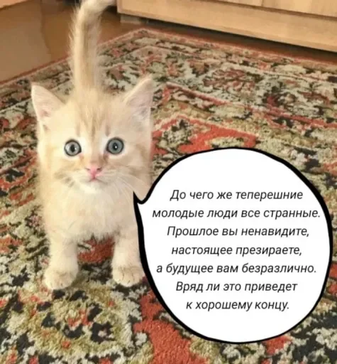 🧠 Стикер «Голые бляди.» для Telegram