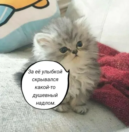🧠 Стикер «Голые бляди.» для Telegram