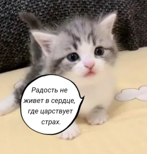 🧠 Стикер «Голые бляди.» для Telegram