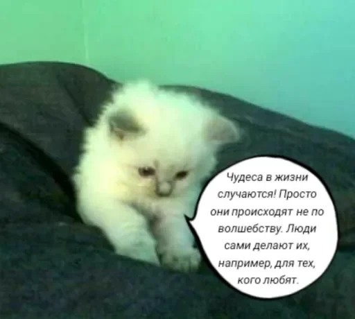🧠 Стикер «Голые бляди.» для Telegram
