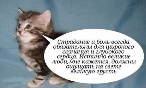 🧠 Стикер «Голые бляди.» для Telegram