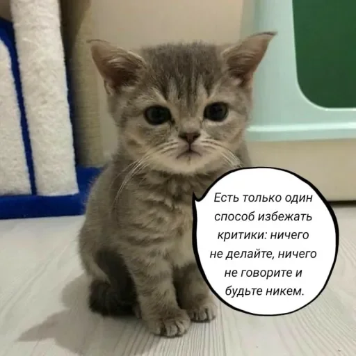 🧠 Стикер «Голые бляди.» для Telegram