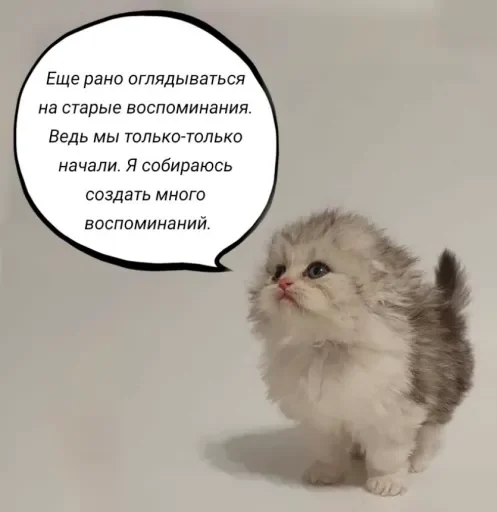 🧠 Стикер «Голые бляди.» для Telegram