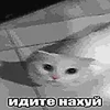 Стикер 24 Трешовые микро мемы в паке с названием пизда