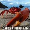 Стикер 22 Трешовые микро мемы в паке с названием пизда