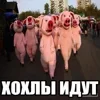 Стикер 52 Трешовые микро мемы в паке с названием пизда