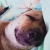 Стикер 30 Трешовые микро мемы в паке с названием пизда