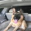 Стикер 31 Трешовые микро мемы в паке с названием пизда