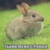 Стикер 21 Трешовые микро мемы в паке с названием пизда