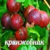 Стикер 38 Трешовые микро мемы в паке с названием пизда