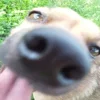 Стикер 15 Трешовые микро мемы в паке с названием пизда