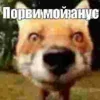 Стикер 14 Трешовые микро мемы в паке с названием пизда