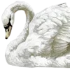 Стикер 36 emojiki ver2