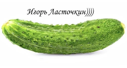 🥒 Стикер «поч ты мне не пишешь?» для Telegram