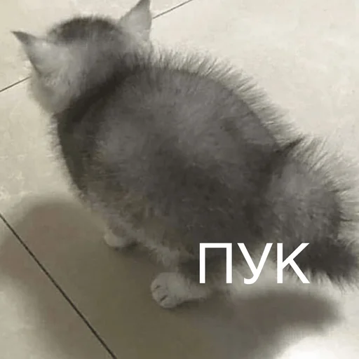 Стикерпак Пердёжные стикеры для Telegram
