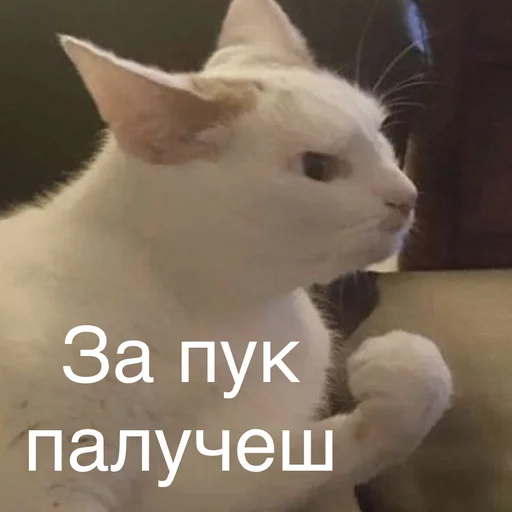 😠 Стикер «Пердёжные стикеры» для Telegram