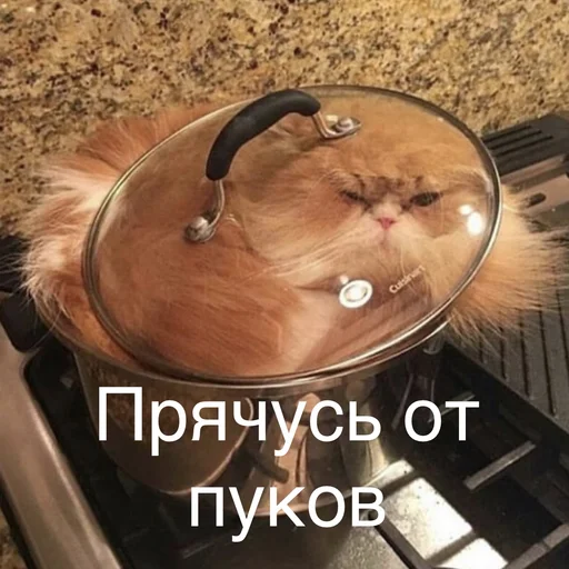 😷 Стикер «Пердёжные стикеры» для Telegram