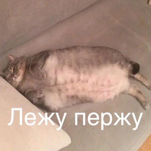 🙄 Стикер «Пердёжные стикеры» для Telegram
