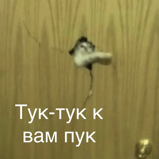 🚪 Стикер «Пердёжные стикеры» для Telegram