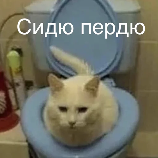 🌚 Стикер «Пердёжные стикеры» для Telegram