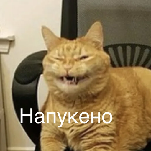 😫 Стикер «Пердёжные стикеры» для Telegram