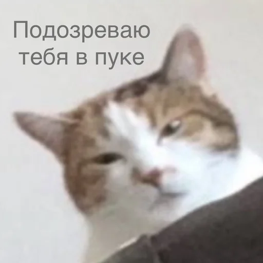 🧐 Стикер «Пердёжные стикеры» для Telegram
