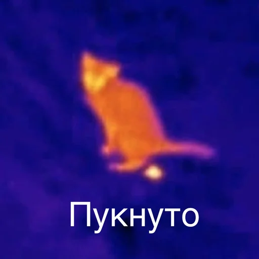 💨 Стикер «Пердёжные стикеры» для Telegram