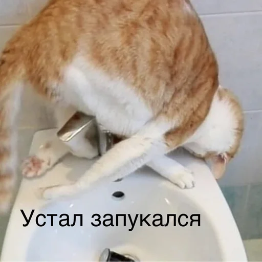 😒 Стикер «Пердёжные стикеры» для Telegram