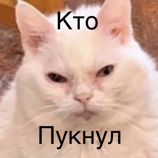 😡 Стикер «Пердёжные стикеры» для Telegram
