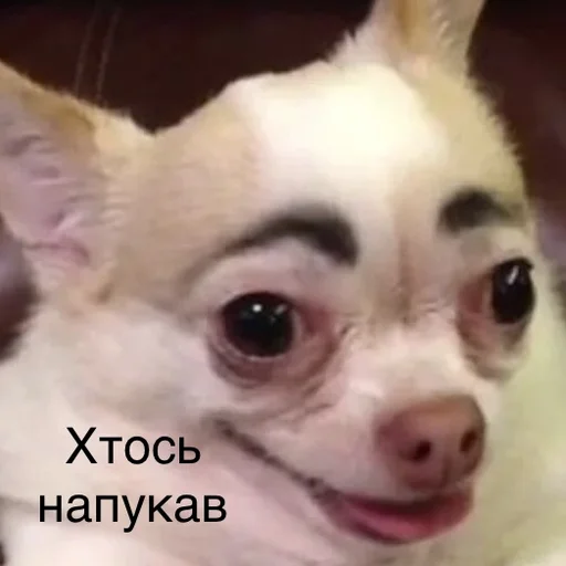 🙄 Стикер «Пердёжные стикеры» для Telegram