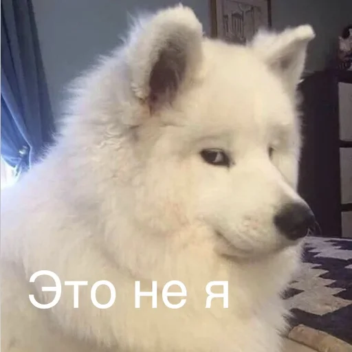 🤥 Стикер «Пердёжные стикеры» для Telegram