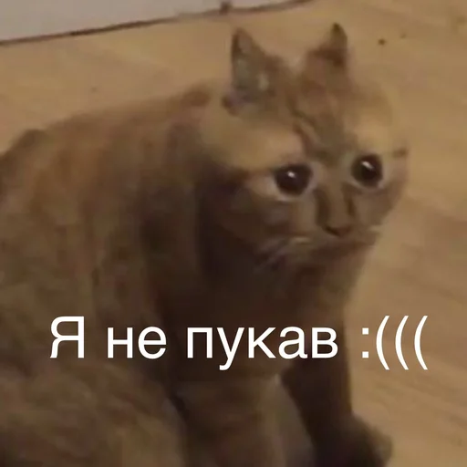 😢 Стикер «Пердёжные стикеры» для Telegram