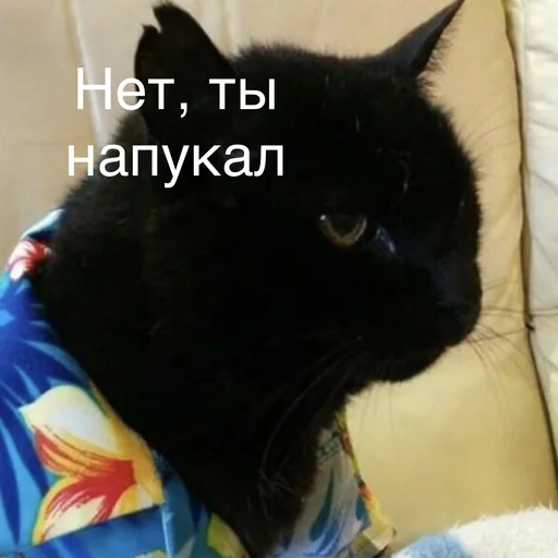 👺 Стикер «Пердёжные стикеры» для Telegram