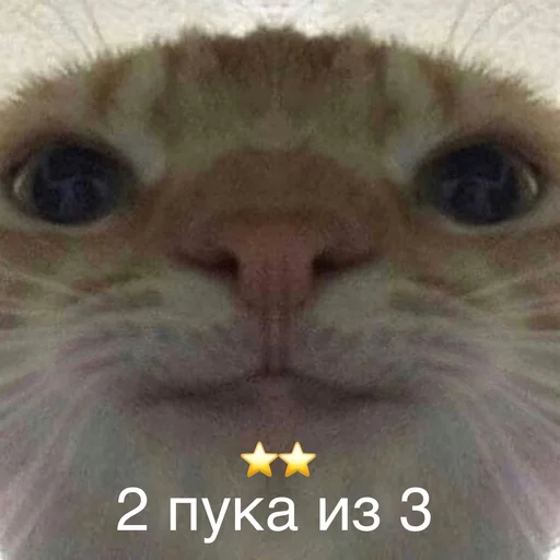 ⭐️ Стикер «Пердёжные стикеры» для Telegram