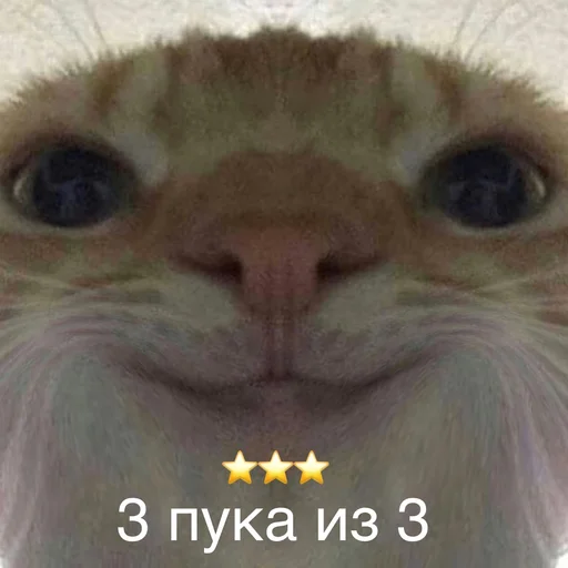 ⭐️ Стикер «Пердёжные стикеры» для Telegram