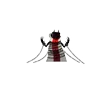 Стикер 14 𝙽𝚊𝚛𝚒𝚗𝚍𝚎𝚛