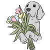 💐 Эмодзи «нарисованные собачки» для Telegram