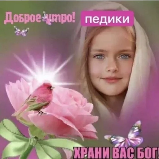 🏳‍🌈 Стикер «НслчйВжнхПргврв» для Telegram