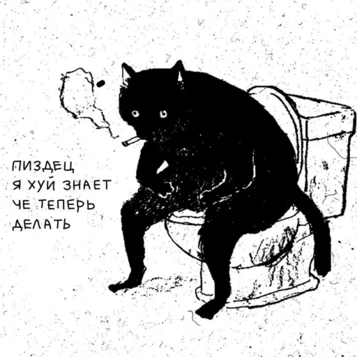 🚽 Стикер «НслчйВжнхПргврв» для Telegram